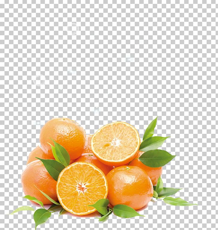 Orange Juice Fruit PNG, Clipart, Citric Acid, Citrus, Clementine, Diet Food, Download Free PNG Download