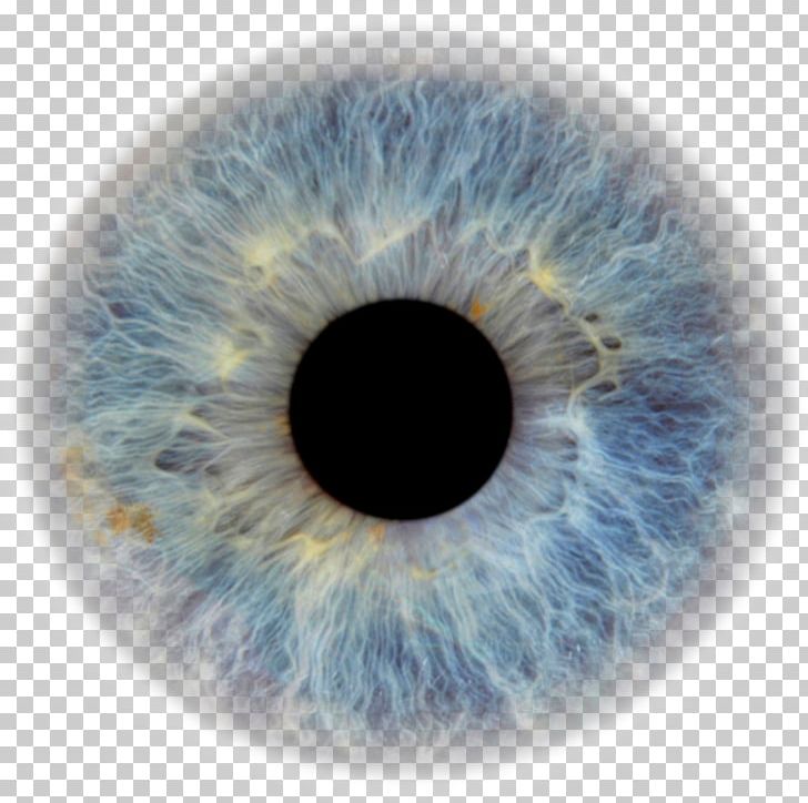 Transparent Eyeball Pupil Eye Color Human Eye PNG, Clipart, Blue, Circle, Closeup, Color, Eye Free PNG Download