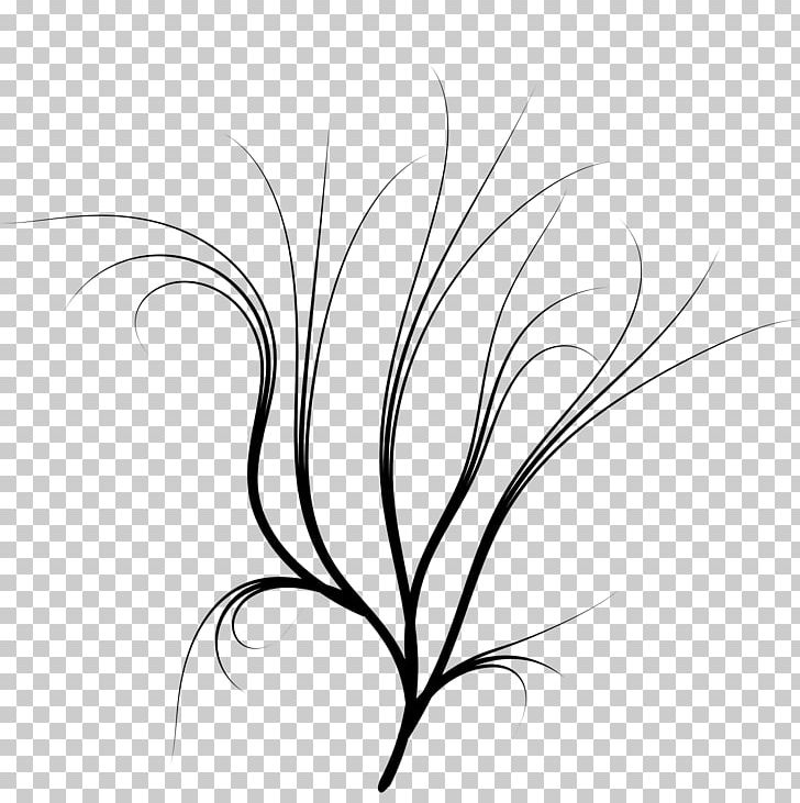 Twig White Grasses Leaf PNG, Clipart, Artwork, Black, Black And White, Branch, Dal Free PNG Download