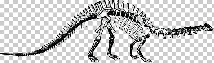 Brontosaurus Tyrannosaurus Stegosaurus Diplodocus Plesiosauria PNG, Clipart, Artwork, Black And White, Bone, Brontosaurus, Carnivoran Free PNG Download