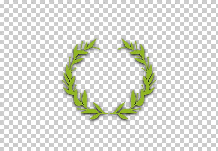 Olive Branch Computer File PNG, Clipart, Branch, Branches, Branch Vector, Circle, Decoration Free PNG Download