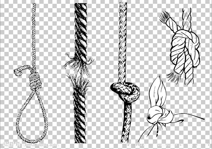 Rope Knot Cdr PNG, Clipart, Body Jewelry, Cartoon Rope, Cdr, Color, Decoration Free PNG Download