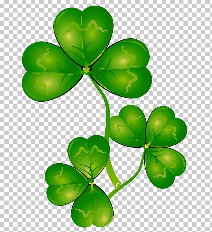 Saint Patrick's Day Clover Shamrock Portable Network Graphics PNG, Clipart,  Free PNG Download