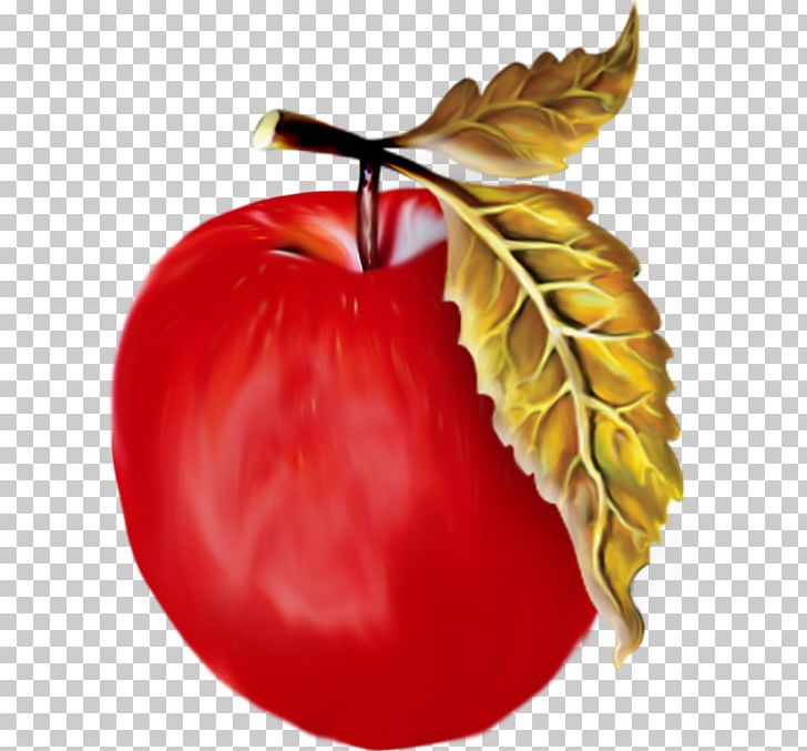 Apple Fruit PNG, Clipart, Apple, Apple Fruit, Apple Logo, Apple Tree, Diet Food Free PNG Download