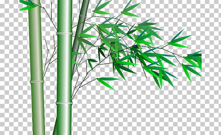 Bamboo Transparency And Translucency PNG, Clipart, Computer Graphics, Fig, Free Logo Design Template, Free Matting, Grass Free PNG Download
