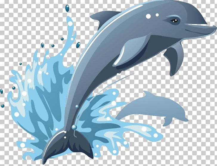 Common Bottlenose Dolphin Drawing PNG, Clipart, Animals, Blue, Blue Whale, Bottlenose Dolphin, Cartoon Free PNG Download