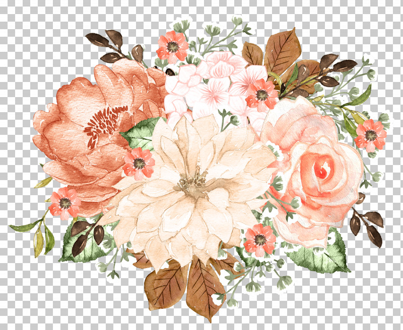 Garden Roses PNG, Clipart, Cabbage Rose, Cut Flowers, Floral Design, Flower, Flower Bouquet Free PNG Download