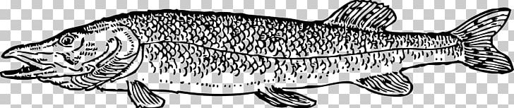 Cat Northern Pike Computer Icons PNG, Clipart, Animals, Black And White, Carnivoran, Cat, Cat Like Mammal Free PNG Download