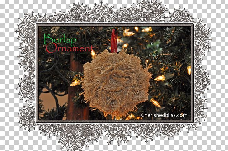 Christmas Tree Christmas Ornament Spruce Fir Boss's Day PNG, Clipart, Bosss Day, Burlap, Cherish, Christmas, Christmas Decoration Free PNG Download