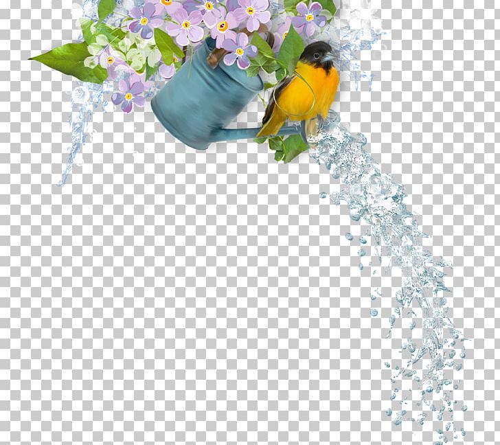 Floral Design Blog PNG, Clipart, Bird, Branch, Computer Wallpaper, Desktop Wallpaper, Flora Free PNG Download