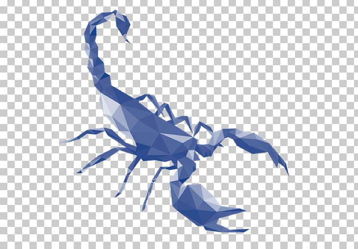 Scorpion Marketing Laguna Los Angeles Barbecue 0 Advertising Agency PNG, Clipart, Advertising, Advertising Agency, Art, Arthropod, Barbecue Free PNG Download