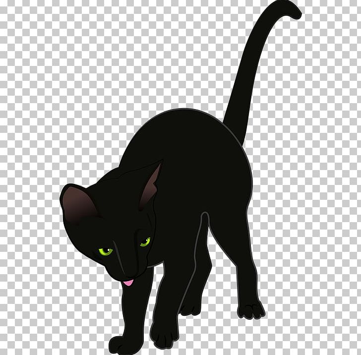 Cat Open Graphics PNG, Clipart, Animals, Black, Burmese, Carnivoran, Cat Free PNG Download