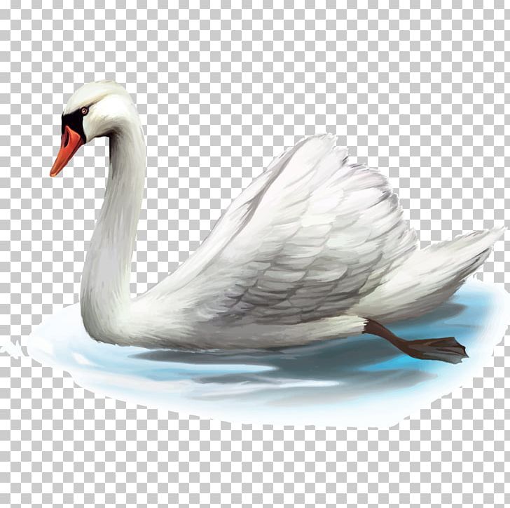 Cygnini Cartoon Illustration PNG, Clipart, Animal, Animals, Beak, Bird, Canadian Goose Free PNG Download