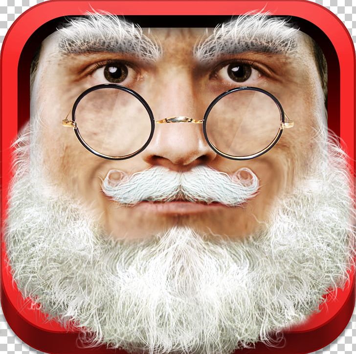 Facial Hair Santa Claus Whiskers Beard Moustache PNG, Clipart, Animal, Beard, Character, Closeup, Face Free PNG Download