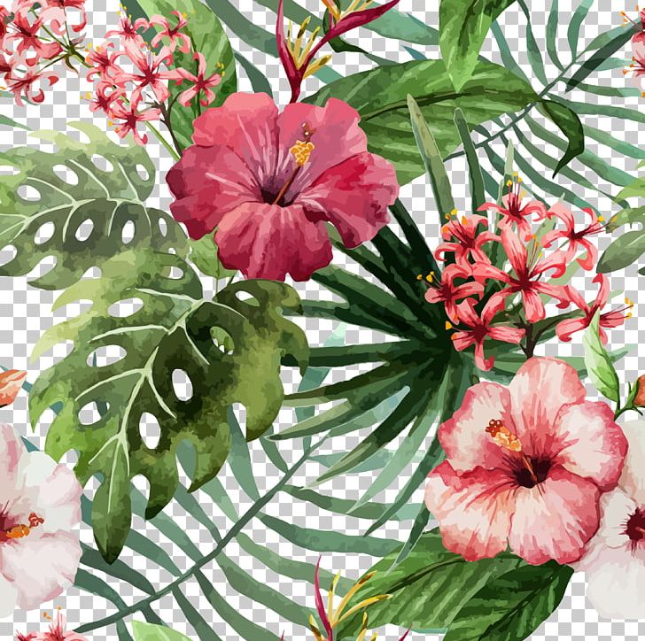 Shoeblackplant Flower Hawaiian Hibiscus Drawing PNG, Clipart, Annual Plant, Flower Arranging, Flowers, Handpainted Plants, Happy Birthday Vector Images Free PNG Download