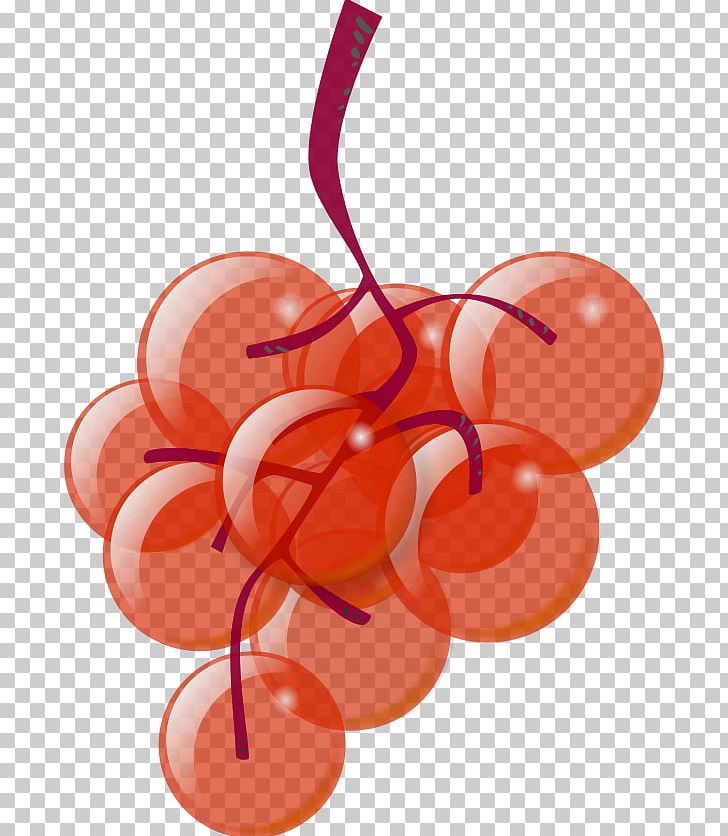 White Wine Grape PNG, Clipart, Berry, Cartoon, Cherry, Food, Free Content Free PNG Download