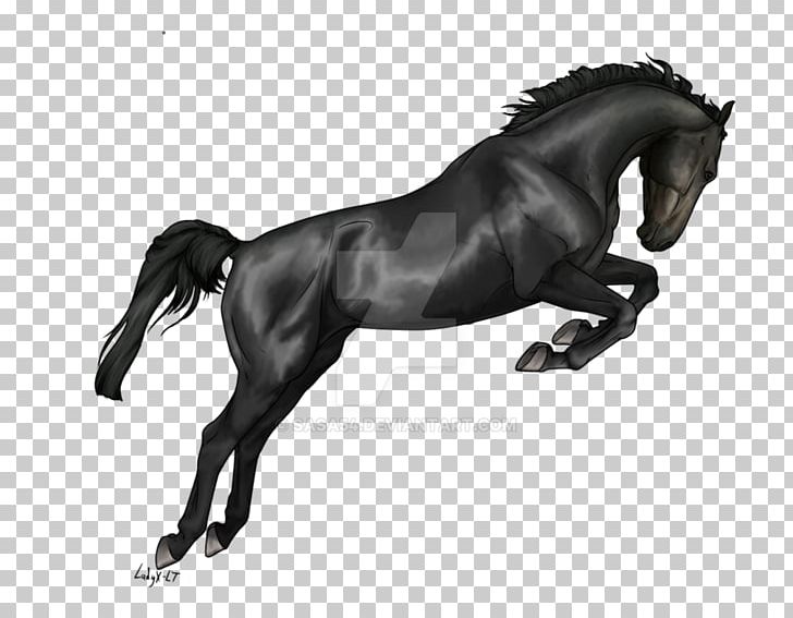 Mustang Art PNG, Clipart, Bit, Black, English Riding, Equestrian, Equestrianism Free PNG Download