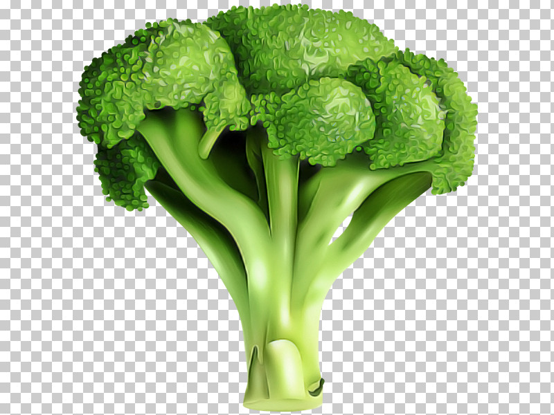 Cauliflower PNG, Clipart, Broccoflower, Broccoli, Cabbage, Cauliflower, Flower Free PNG Download
