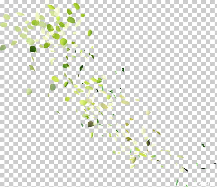 Leaf PNG, Clipart, Branch, Computer Wallpaper, Desktop Wallpaper, Download, Flora Free PNG Download
