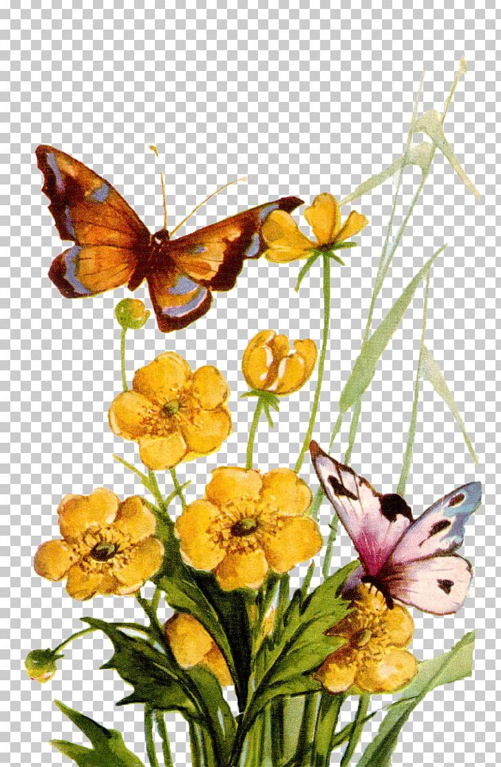 Monarch Butterfly Insect Pieridae Brush-footed Butterflies PNG, Clipart, Animals, Brush Footed Butterfly, Butterfly, Floral Design, Floristry Free PNG Download