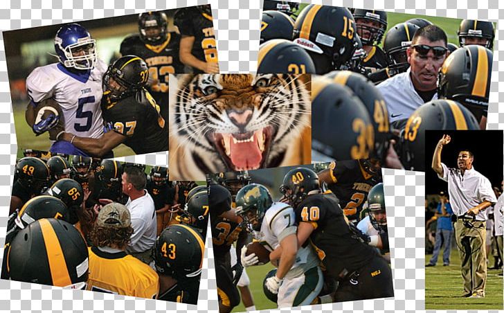 Mammal Tiger Recreation Collage PNG, Clipart, Animals, Closeup, Collage, Competition, Competition Event Free PNG Download