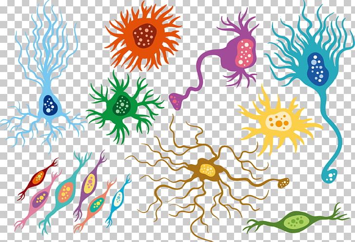 Neuron Floral Design Artificial Neural Network PNG, Clipart, Astrocyte, Cell, Color, Color Pencil, Color Powder Free PNG Download
