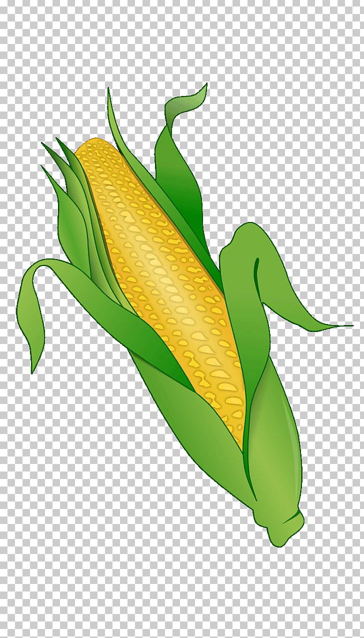 Corn On The Cob Maize Vegetable Sweet Corn PNG, Clipart, Corn, Corn Clipart, Corncob, Corn On The Cob, Drawing Free PNG Download