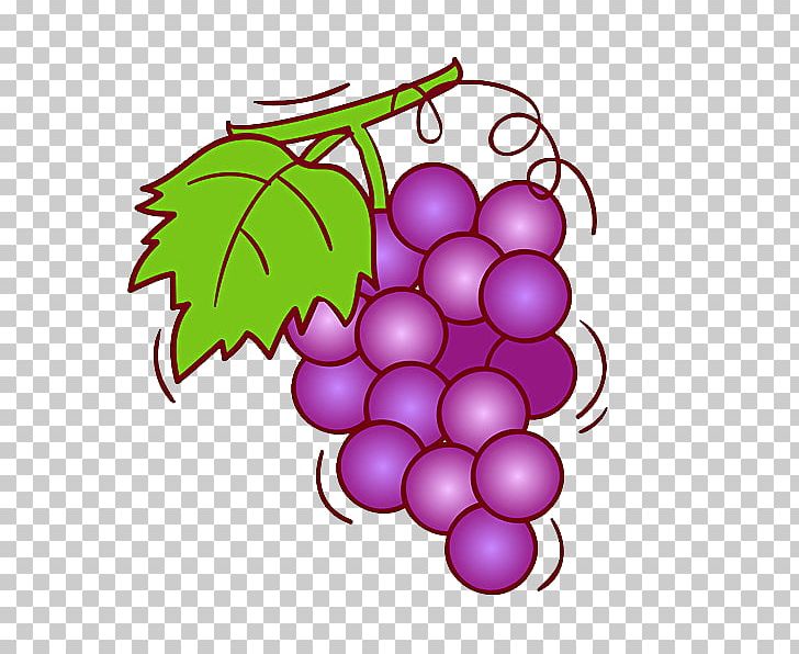 Grape Wine Fruit Illustration PNG, Clipart, Chilled Shopping, Food, Fruit Nut, Grape, Grapes Free PNG Download