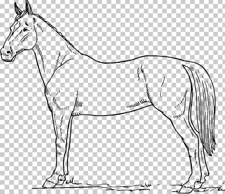 Horse Drawing Equestrian PNG, Clipart, Animals, Artwork, Black, Black And White, Bridle Free PNG Download