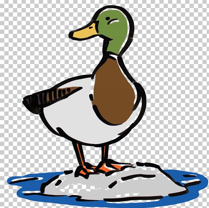 Mallard Duck Beak PNG, Clipart, Animals, Animation, Artwork, Beak, Bird Free PNG Download