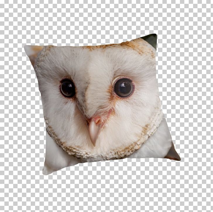 Owl Throw Pillows Cushion Beak PNG, Clipart, Barn Owl, Beak, Bird, Bird Of Prey, Cushion Free PNG Download