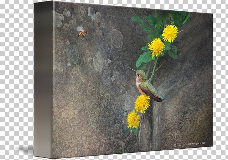 Painting Fauna Frames PNG, Clipart, Art, Dandelion Border, Fauna, Flora, Flower Free PNG Download