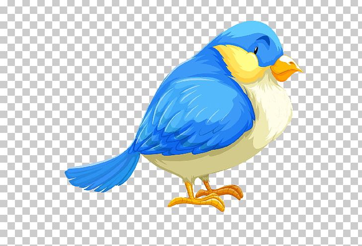 Bird Beak PNG, Clipart, Animals, Beak, Bird, Blue, Blueandyellow Macaw Free PNG Download