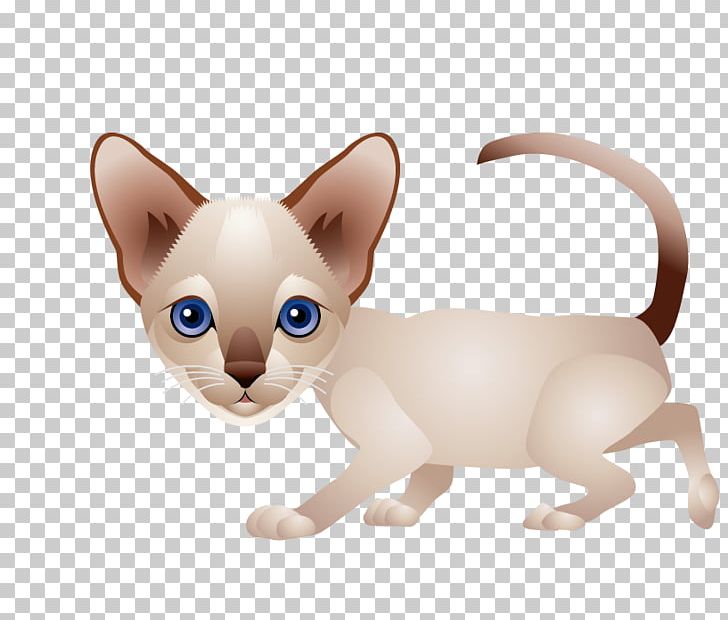 Cat Kitten Felidae PNG, Clipart, Animal, Animals, Burmese, Carnivoran, Cat Like Mammal Free PNG Download