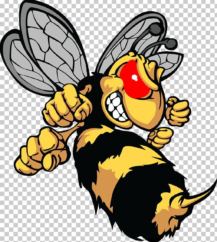 Hornet Bee Cartoon PNG, Clipart, Africanized Bee, Art, Artwork, Beak, Bee Clipart Free PNG Download