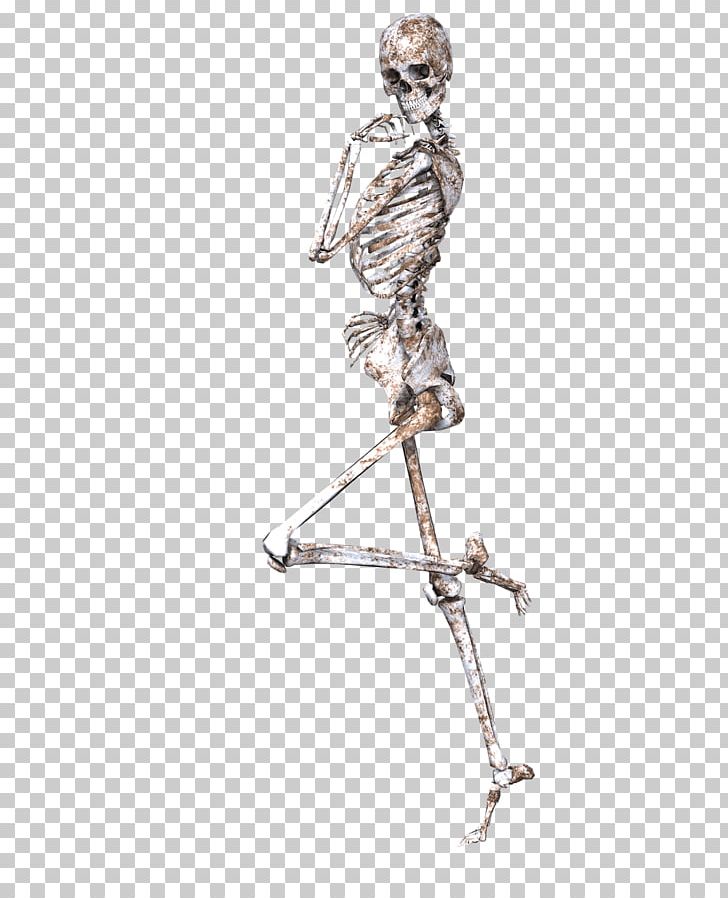 Skeleton On One Leg PNG, Clipart, People, Skulls And Skeletons Free PNG Download