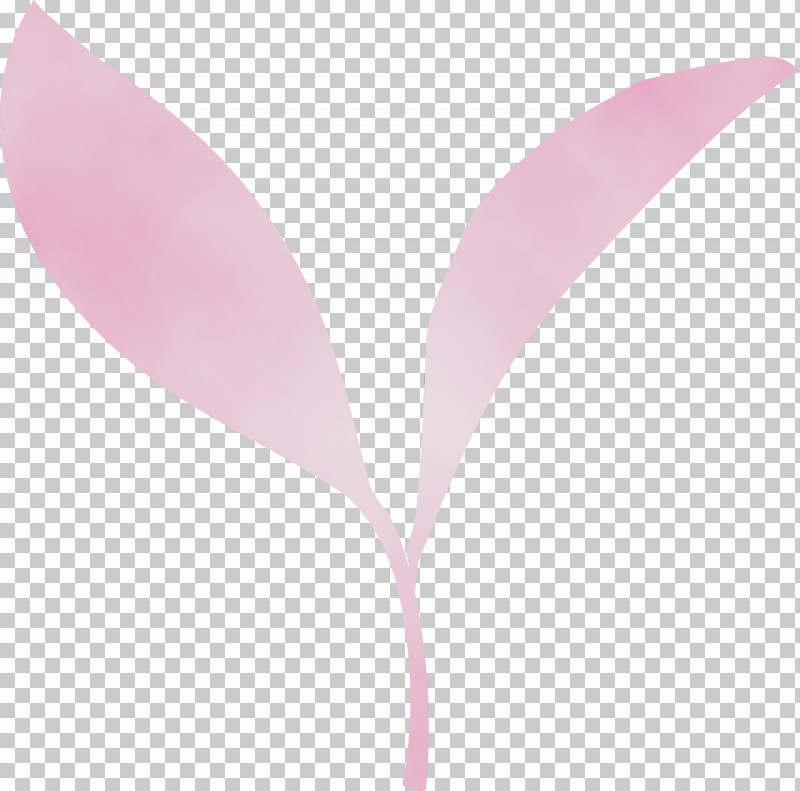 Pink Leaf Violet Plant Magenta PNG, Clipart, Anthurium, Flower, Leaf, Magenta, Paint Free PNG Download