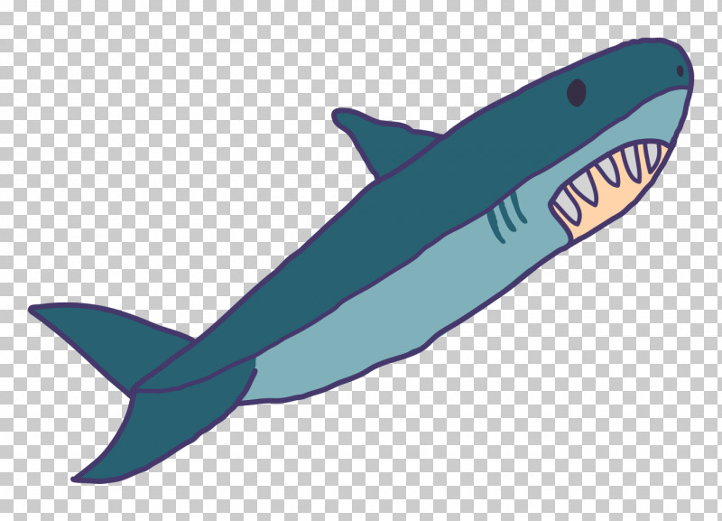 Shark PNG, Clipart, Blue Whale, Carcharhiniformes, Cartilaginous Fish, Cetacea, Cretoxyrhina Free PNG Download