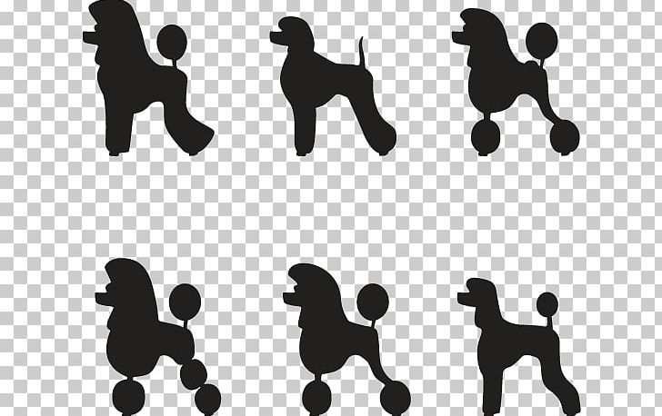 Miniature Poodle Standard Poodle Puppy PNG, Clipart, Animals, Black, Black And White, Brand, Clip Free PNG Download