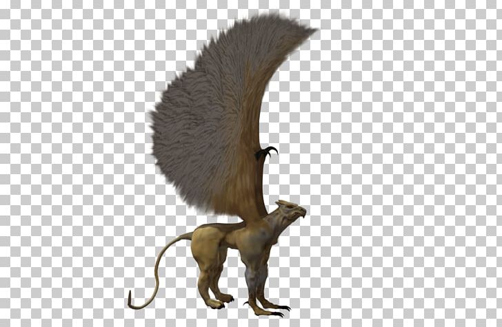 Carnivora Rodent Wildlife Animal PNG, Clipart, Animal, Animal Figure, Carnivora, Carnivoran, Fauna Free PNG Download