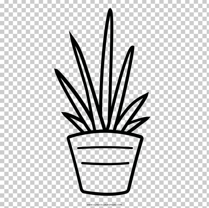 Coloring Book Drawing Cactaceae Child PNG, Clipart, Black And White, Cactaceae, Child, Coloring Book, Drawing Free PNG Download