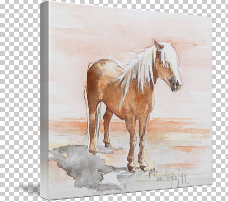 Mustang Stallion Mare Foal Watercolor Painting PNG, Clipart, Fauna, Fine Horse, Foal, Horse, Horse Like Mammal Free PNG Download