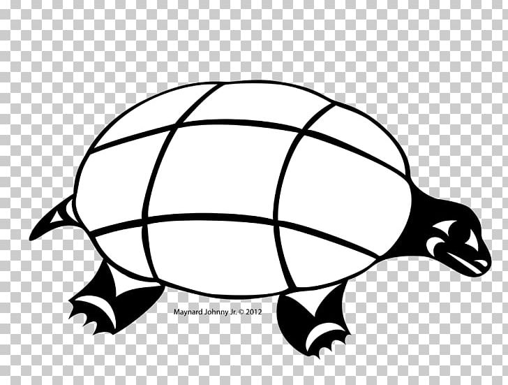Tortoise Sea Turtle Gray Wolf Reptile PNG, Clipart, Animal, Animals, Area, Artwork, Ball Free PNG Download