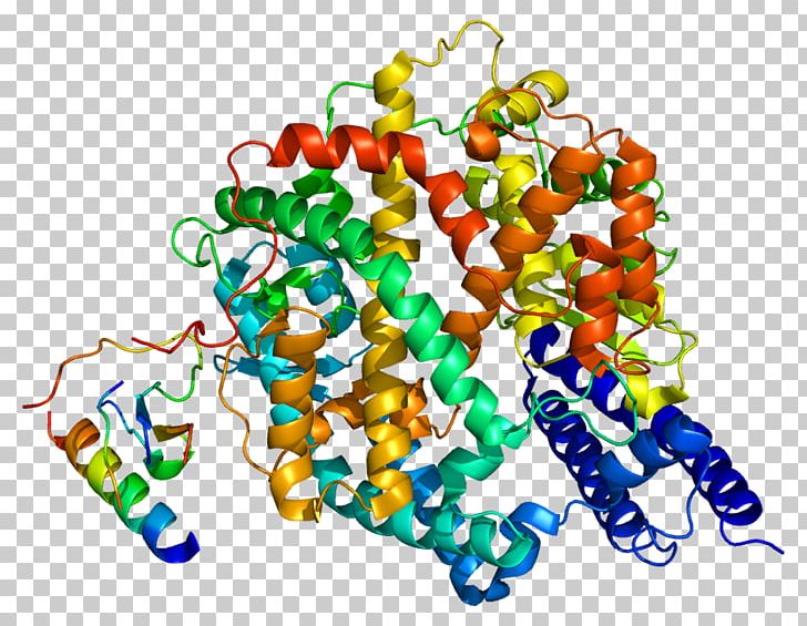 ACE Inhibitor Angiotensin-converting Enzyme 2 PNG, Clipart, Ace Inhibitor, Angiotensinconverting Enzyme, Angiotensinconverting Enzyme 2, Angiotensin I, Angiotensin Ii Receptor Blocker Free PNG Download