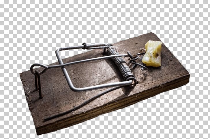 Mousetrap Rat Trap Trapping Lenovo Essential Laptops PNG, Clipart, Animal Trap, Lenovo Essential Laptops, Material, Mouse, Mousetrap Free PNG Download