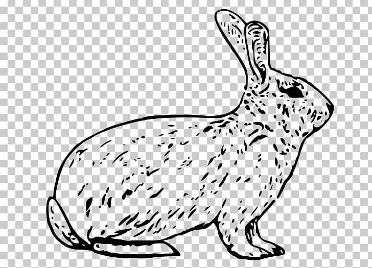 Arctic Hare European Hare Snowshoe Hare Arctic Fox PNG, Clipart, Animal, Animal Figure, Animals, Arctic, Arctic Fox Free PNG Download