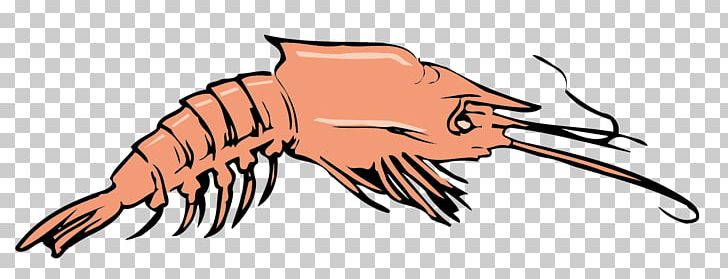 Crab Homarus Euclidean PNG, Clipart, Adobe Illustrator, Animals, Carnivoran, Claw, Crab Free PNG Download