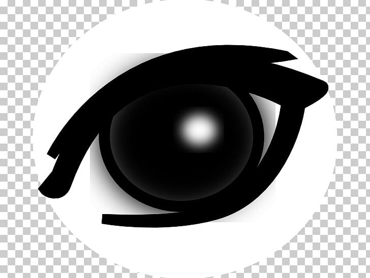 Eye PNG, Clipart, Bird, Black, Black And White, Computer Icons, Computer Wallpaper Free PNG Download