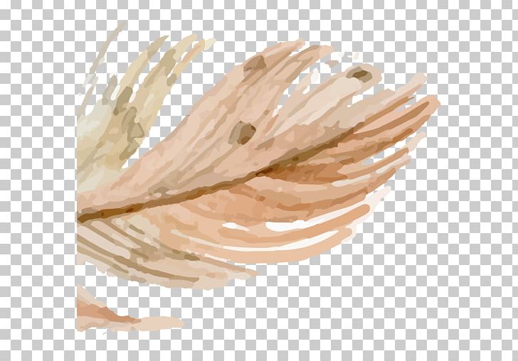 Feather Drawing ATHANASIOS KOROMILAS ENT OFFICE KALAMATA Watercolor Painting PNG, Clipart, Animals, Art, Bird, Color, Desktop Wallpaper Free PNG Download