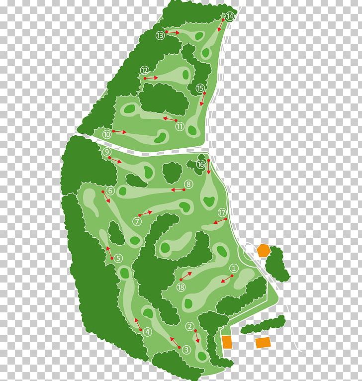 Pitch And Putt Pitch & Putt Golf Heerde Golf Course Hole PNG, Clipart, Christmas, Christmas Decoration, Christmas Tree, Footgolf, Golf Free PNG Download